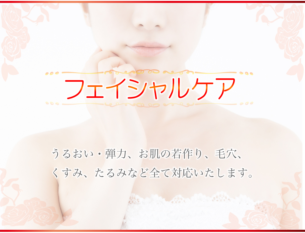 フェイシャルケア うるおい・弾力、お肌の若作り、毛穴、くすみ、たるみなど全て対応いたします。